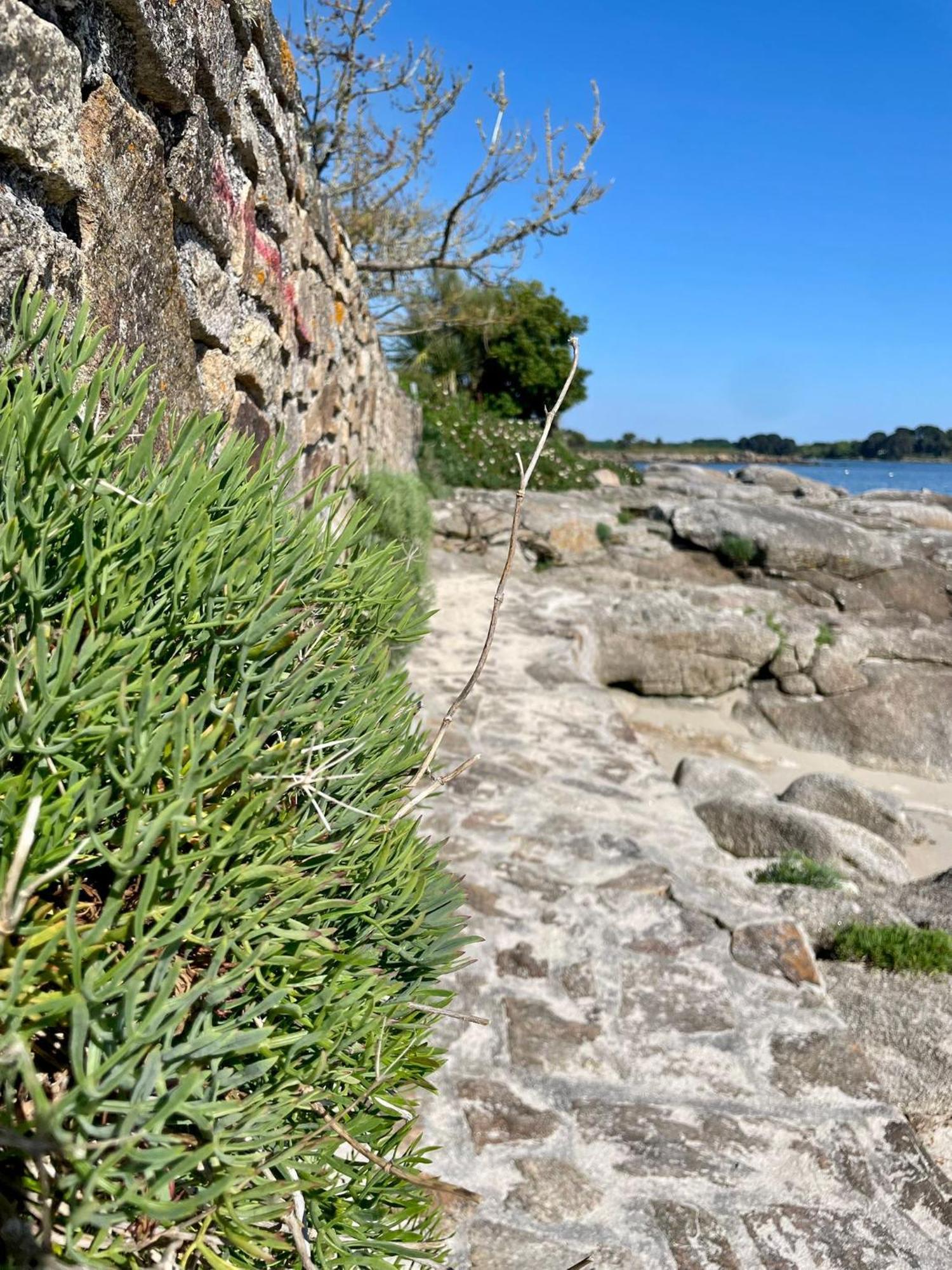 2 Maisons De Vacances Sittelles Lodge Concarneau Exteriör bild
