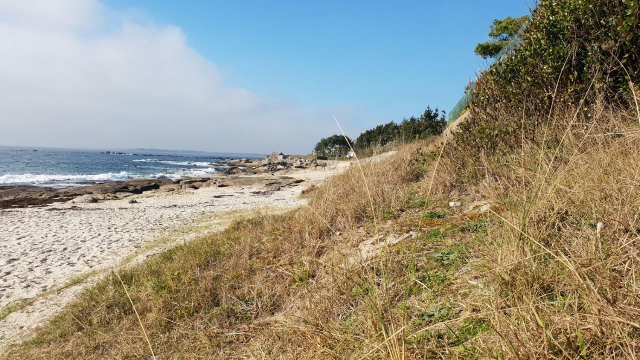 2 Maisons De Vacances Sittelles Lodge Concarneau Exteriör bild